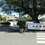 石戸小学校(周辺)